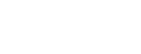 Formula e-MINI